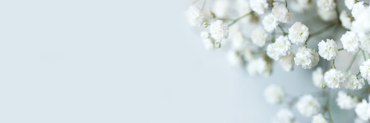White flowers of the gypsophila. Gentle spring background. Soft focus.