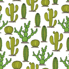 Cactus seamless pattern. Cacti hand drawn background. Vector illustration. Hand drawn sketch.