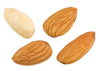 Almond nut isolated on white background