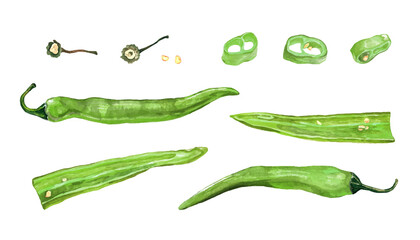 Chile set. Green pepper pods in watercolor. Illustration on whit