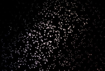 Dark Purple, Pink vector background with triangles.