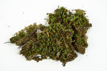 Composition of moss, stones and dry branches on white background