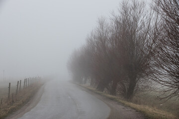 Obraz premium Foggy Day in Skåne
