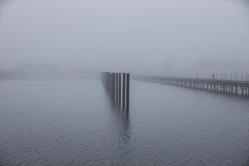 Fototapeta na wymiar Foggy Day in Skåne