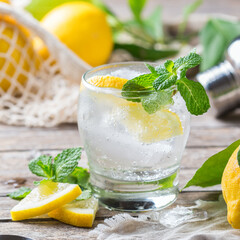 Hard seltzer cocktail with lemon and zero waste bartenders accessories