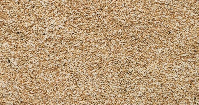 Closeup amaranth groats rotation, background, texture. Slow motion 50fps, zoom effect. Food background.
