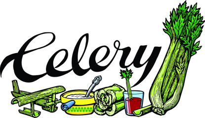 Celery | Vegetables | Garden Labels