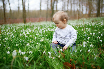 Cute one year old baby girl sitting on the grass with many snowdrop flowers in park or forest