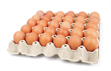 Brown chicken eggs in the cardboard egg tray with rooms for thirty eggs isolated on white...