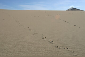 Mesquite Sand Dunes, Death Valley, California, with Footprints Up Slope Created by the Wind...