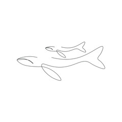 Whale animal line drawing, vector illustration