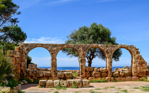 Ancient stone ruins featuring a row of arches framing a large tree and overlooking the blue sea, Tipaza, Algeria.