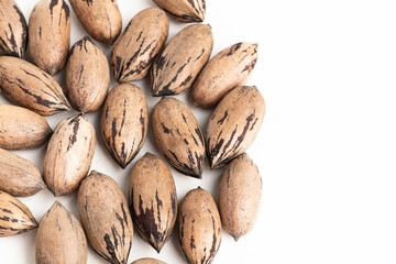 Pecan Nuts In Shell On White Background