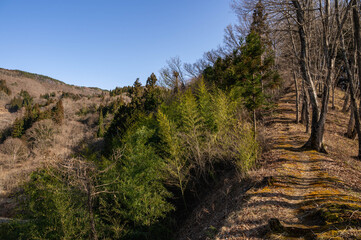 上の平展望台の道　信州新町