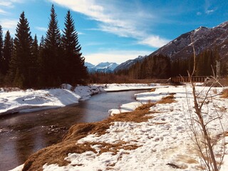 The majestic pristine Bow valley