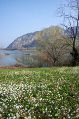 Fototapeta premium torbiere