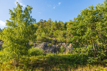 Gorgeous view of blue sky over tops of and trees. Gorgeous natural backgrounds.