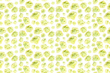 Cauliflower isolated on white background. Seamless food pattern. Brassica oleracea or botrytis