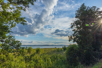 Beautiful landscape view of Baltic sea through pine trees. Sea shore with green trees and plants reflecting in  mirror water surface. Sweden. 
