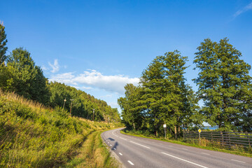 Beautiful summer nature landscape view. Asphalt road surrounded with green trees and plants on blue sky with white clouds background. Sweden.
