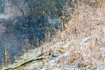 Falling snow over the river