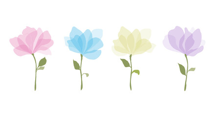 Set of colorful watercolour transparent colours style vector illustration of rose flowers with large petals and green leaves on a white background. Botanical romantic design element