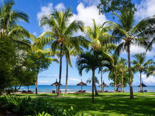 Fototapeta na wymiar view of a beach in Mauritius 