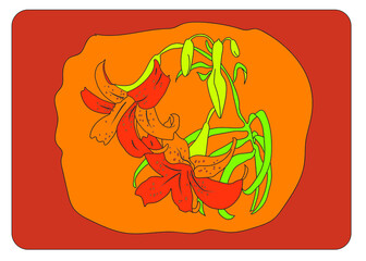 Two lilies flowers colored in red and orange colors with green stem.