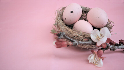 Fototapeta na wymiar Easter composition with eggs on pink pastel background. Branch of blossoming sakura.