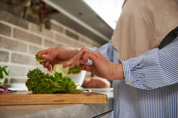 Closeup of a woman tearing lettuce leaves with her hands to make healthy vegetable salad. Vegetarian and vegan dieting concept