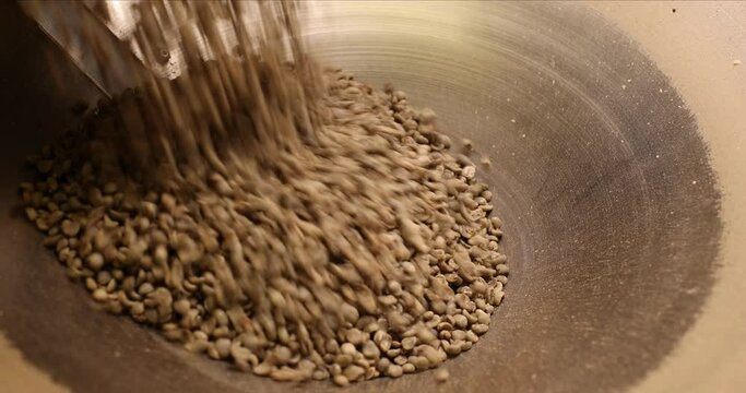 Green coffee beans pouring into hopper of roaster to begin process of roasting. Raw coffee beans being prepared for roast. Stainless steel funnel filling with uncooked coffee.