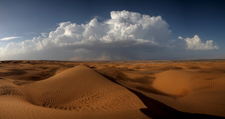 Storm, Sand storm in desert of high altitude with cumulonimbus rain clouds 