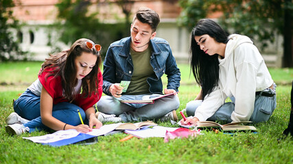 Students sitting on the grass and studying together at the park