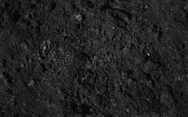 Chernozem, dark type of natural soil, seamless background