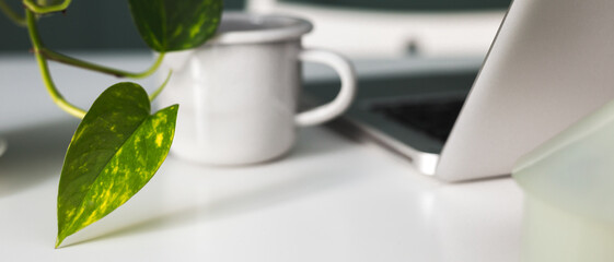 Home office desk against dark wall, coffee mug, plant and laptop. Cozy minimalist workspace.	