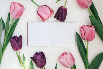 Pink and purple tulips and empty notebook on white background. Copy space. Place for text.