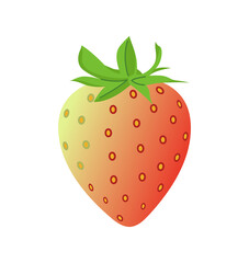 Vector strawberry illustration