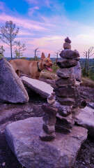 Balancing Stones With Dog In Background