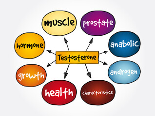 Testosterone mind map, medical concept for presentations and reports