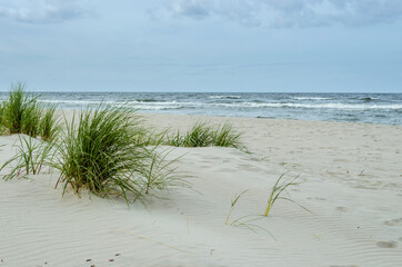 Fototapeta Wybrzeże bałtyckie, plaża w Krynicy Morskiej obraz