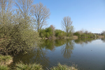 Reinheimer Teich bei Darmstadt