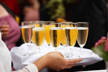 Standesamtliche Hochzeit, das Brautpaar geben sich ein Ja Wort, 