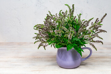 Lilac mint flowers with green leaves in a lilac cup on a white wooden background. Homemade herbs for tea. Place for an inscription.