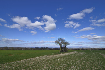 Landscape with a green field and high seat in bright sunshine