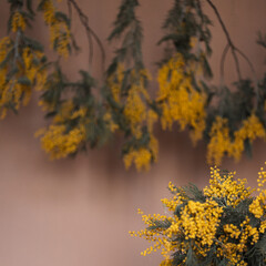 Spring table decor. Mimosa, lemons. Decorating the interior with flowers.