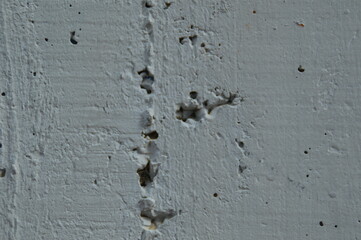 pared gris