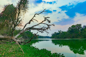 lago verde, lago el salado en el litoral chaque&ntilde;o