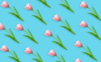 Pink tulips on blue background. Concept of holiday, birthday, easter, mothers day