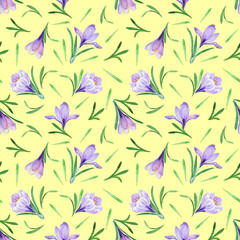 Fototapeta na wymiar Spring flower seamless pattern Watercolor purple crocus