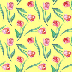Spring flower seamless pattern Watercolor red tulip
